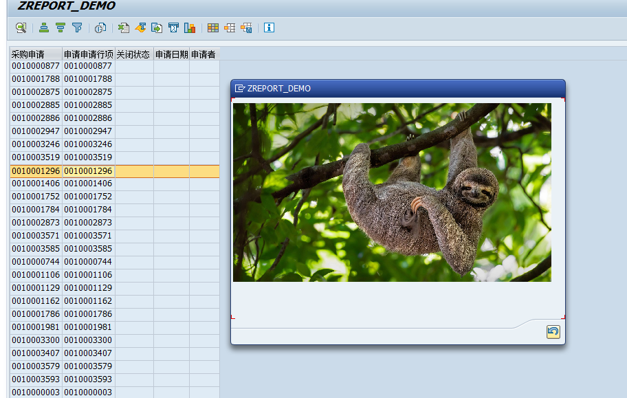 ALV报表弹窗显示远程图片