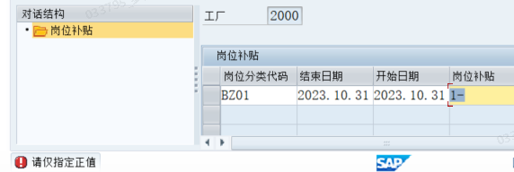 SAP数字类型输入负数报错 请仅指定正直