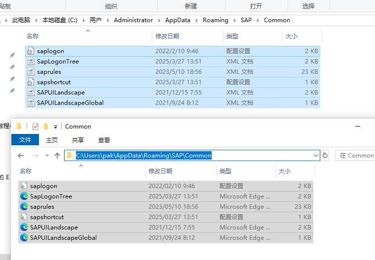 SAP新版本使用自动保存密码直接登录方法